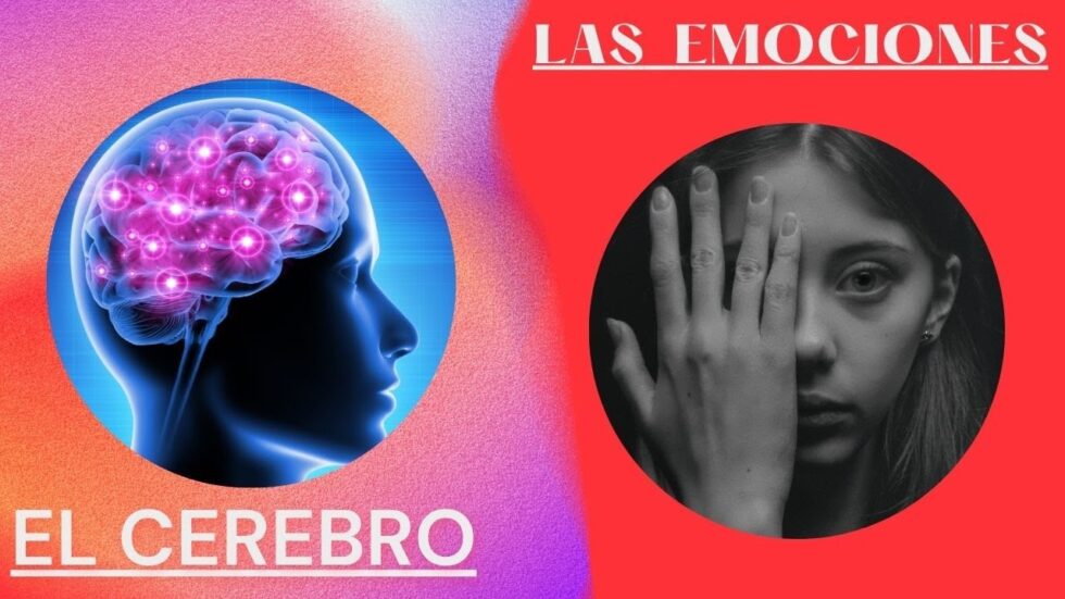 Descubre La Influencia De Las Emociones En El Cerebro 7139